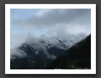 IMG_6603